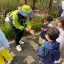 숲.MTB | 증평 좌구산 별천지숲인성학교 숲체험패키지 후기