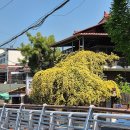 태복산로-2 이미지