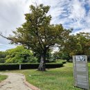 유당공원 내 비군 이미지