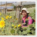 농경축산 이미지