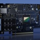 블루필드 이미지