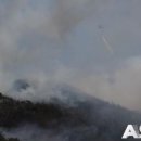 대호지축산 이미지