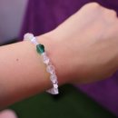 약지애견카페 서창점 이미지