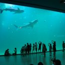 아쿠아플라넷 제주 이미지