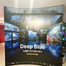 (주)블루미디어 | [워커힐호텔] 아이들과 갈만한 추천전시! 미디어아트 Deep Blue 빛의 씨어터 전시 솔직리뷰!