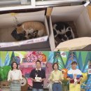 정상호 농장 이미지