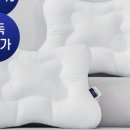 주식회사 나비잠