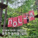 동두천 놀자숲 실외 어드벤처 후기, 115m 익스트림 슬라이드부터 포레스트 어드벤쳐까지