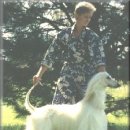 SHOWDOG