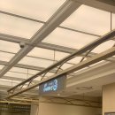 (주)신세계레코드코너 | [용인]죽전 신세계 푸드코너 회전초밥집 다이마루수산 신세계 사우스시티점