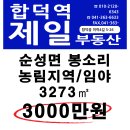 순성면 봉소리 임야 3273㎡ 3천만원 매매 이미지