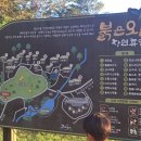 붉은오름자연휴양림 | [제주] 붉은오름자연휴양림 (복수초)