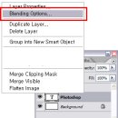 이미지블랜딩 이미지