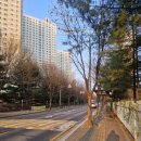 중산지구 도시개발 | 신혼부부 임장부터 계약까지 🏡내집마련 하다!🏡