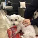 블란서 커피