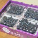 갈마농원 이미지