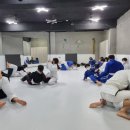 주짓수코어화명수정짐