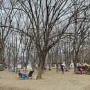 금관1리 이미지