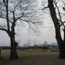 유당공원 Daum카페