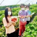 낙산초교 이미지