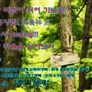 (4회)2025/06/06(금)~08(일) 수도산/학가산우래 자연휴양림 트레킹 2박3일 투어!!! 이미지