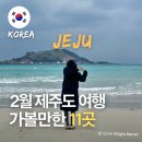 알파카정비 | [공지] 2월 제주도 2박3일 코스ㅣ겨울 제주 가볼만한곳 11곳 1일차 일정 추천