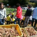 금호농원 이미지