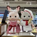 용산 아이파크몰 실바니안 패밀리 : 구매 후기, 위치 정보