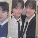 스테디(Steady) 이미지