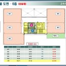 단디스크린골프 네이버블로그