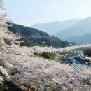 (주)우림바이오 네이버블로그