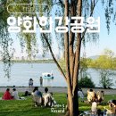 그늘막113 | 양화한강공원 피크닉 돗자리 명당 주차 한강라면 망원데이트 후기