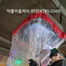 노원-현장-1310 | 엘지건조기 콘덴서 청소 요령과 전문 업체 후기 - 노원구 상계동