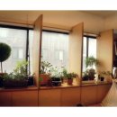 바다소리피아노학원 이미지