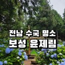 전남 수국 명소 보성 윤제림 성림정원 방문 후기 입장료 개화시기 주차정보