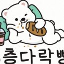 다락몰