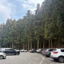 대한다원 | [전남 보성군 가볼만한 곳] 대한다원 보성 녹차밭 방문후기