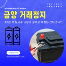 2차전지 황금주 금양 거래정지 희대의 사기극일까?