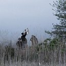 젊음의거리 분수대 | 로마의 휴일