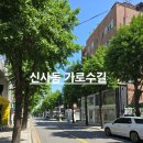 플로라성형외과의원 | 신사동 가로수길 방문 후기/공실 현황 &amp; 애플스토어 무료체험(BTS 공간음향경험, iPad 드로잉배우기)
