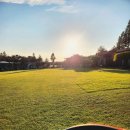 랩도그빌 이미지