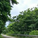 북한강물새길(봄내길 7코스) 이미지