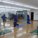 국선도 Daum카페