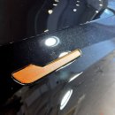 백현 동물병원 | 차가 꼬질꼬질해서 도저히 못 참겠더라고요!