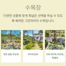 수옥목장 이미지