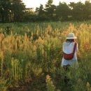 대정2리마을회 이미지