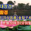 중아함경(中阿含經) / 3. 사리자상응품(舍梨子相應品) / 31. 분별성제경(分別聖諦經) (2021년 3월 9일) 이미지