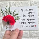 데이지솝 - 원주시 평원초교길 28-6 | 데이지솝