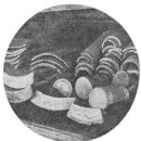 강진9호 이미지