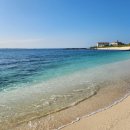 우도푸른바다민박 | [제주 여행] 제주 동쪽 푸른 바다 보며 달리는 우도 스쿠터 당일치기 10월 여행 코스